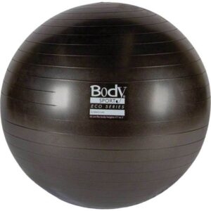 Stability Balls & Accessories